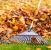 Holiday Fall Clean Up by Advance Drainage & Turf Solutions LLC