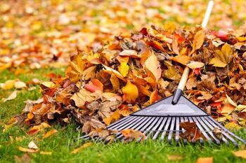 Fall Clean Up Services by Advance Drainage & Turf Solutions LLC