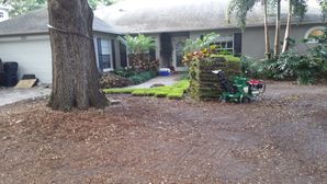 Before & After Sod Installed in Citrus Park, FL (1)