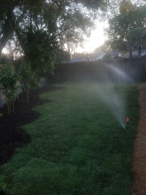 Beautiful New Lawn/Sod Installed in Riverview, FL (1)