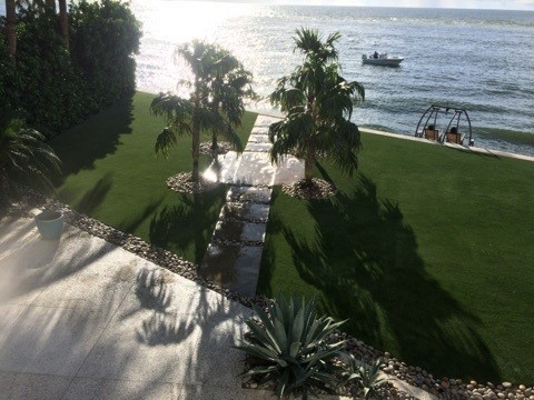 Beautiful New Lawn! Sod Installation in Tampa, FL (1)