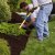 Pasadena Spring Clean Up by Sunshine Sod and Landscaping LLC